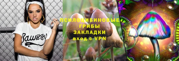 трава Алзамай