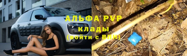 трава Алзамай